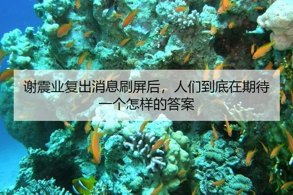 谢震业复出消息刷屏后，人们到底在期待一个怎样的答案